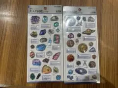 お値下げ！3D 大人の図鑑シール
