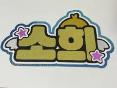 最終値下げ中❗️RIIZE ソヒ ネームボード(A4サイズ)