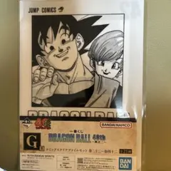 一番くじ ドラゴンボール 40th 其之ニ G賞 クリアファイル 42巻