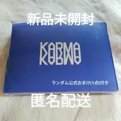 【新品未開封】StrayKids スキズ KARMA CEREMONY おまけ付