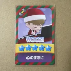 SEVENTEEN NEW_ CARATブース　会場限定　パズチ　トレカ　ウジ