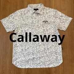 Item thumbnail for item 2655ed70-c3e0-4a80-8c59-2ddd906fda62