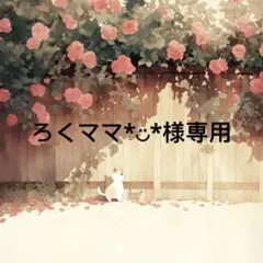 ろくママ*︎◡̈︎* 様　専用