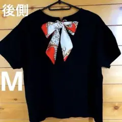 Item thumbnail for item df8a49d6-a31d-49bc-924a-e136110052cd