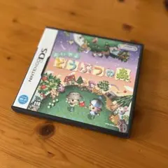 おいでよどうぶつの森 ニンテンドーDS ソフト