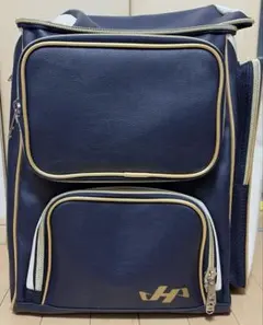 Item thumbnail for item 209caf87-f933-477a-8512-40f21c368c95