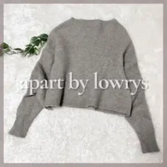 apart by lowrys アパートバイローリーズ ラクーンファーニット