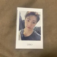 seventeen ディノ　トレカ