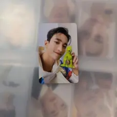 ブソクスン　ドギョム　トレカ