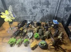 いきもの大図鑑 まとめ売り 29体