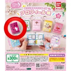 サンリオキャラクターズ　プロフィール帳　チャーミーキティ