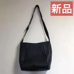 Item thumbnail for item 672beb4e-09c8-4db9-8252-5f2b80942055