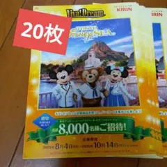 お値下げ‼️Private Evening Party 95 東京ディズニーランド 2025年最新】ディズニー プライベートイブニングの人気アイテム