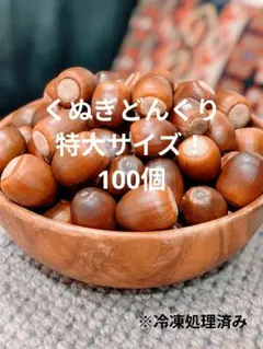 特大！くぬぎどんぐり 約2kg！（約160個前後）