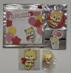 JOCHUM ジェオチャム まめちぃ グッズ セット 豆原一成 缶バッジ