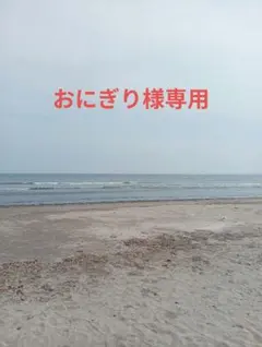 おにぎり様専用