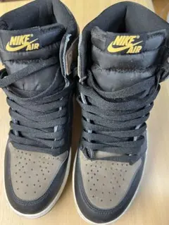Nike Air Jordan 1 Retro High OG パロミノ