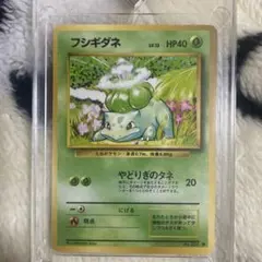 ポケモンカード フシギダネ 旧裏 マーク無し - メルカリ