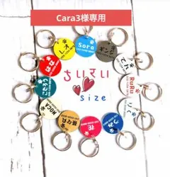 Cara3様専用ページ