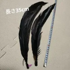 黒い羽根 35cm 2本セット