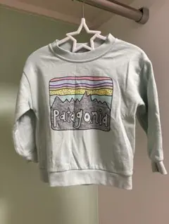 【 Patagonia 】ミントグリーン トレーナー