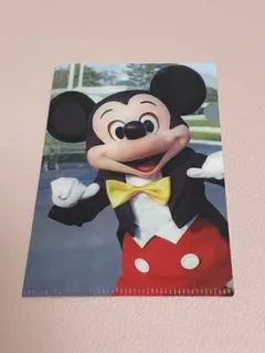 東京ディズニーリゾート ミッキー ミニー クリアファイル　新品未使用