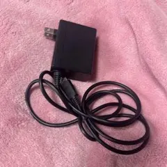Nintendo ACアダプター USB接続 黒