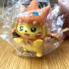 メガポンチョを着たピカチュウ フィギュア : メガリザードンX - メルカリ