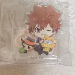 沢田綱吉　アクリルスタンド　ひこくじ