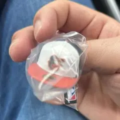 Item thumbnail for item 02f12c4b-2baf-4a36-bbc2-8415c8b8ee32