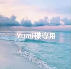 Yumi様専用☆【4月28日までお取り置き】