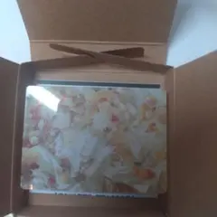 プロセカ　ノーブルアートvol.66 望月穂波