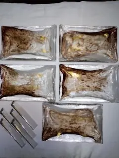 Item thumbnail for item 6877cab9-d466-480e-b409-052765cbae6d