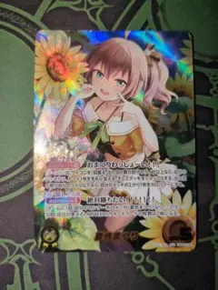 ダイナミッククルセイド キューティーハニー 如月ハニー パラレル
