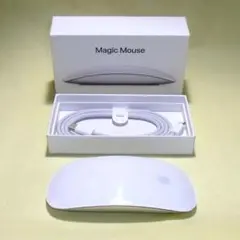 Magic Mouse MK2E3J/A 編込USB-C cable 在中