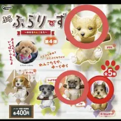 ぶらりーず 第4弾 3体セット