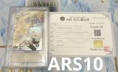 鑑定書付き】 Nのゾロアークex SAR 127/100 ARS10 - メルカリ