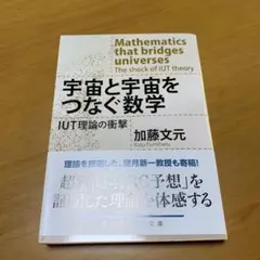 宇宙と宇宙をつなぐ数学 IUT理論の衝撃　　g52