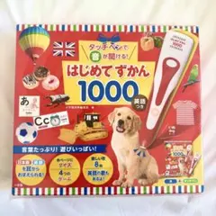 【新品未使用未開封】はじめてずかん 1000