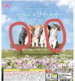 いっしょにねんね　にゃんこ　2体セット