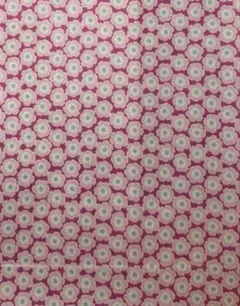 Item thumbnail for item 41899dd0-b8fb-461c-b43d-6dfe04db768b