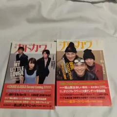 月刊カドカワ 電気グルーヴ特集 MY LITTLE LOVER特集