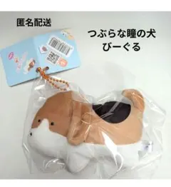 つぶらな瞳の犬　びーぐる　　キーホルダー　ビーグル　マスコット