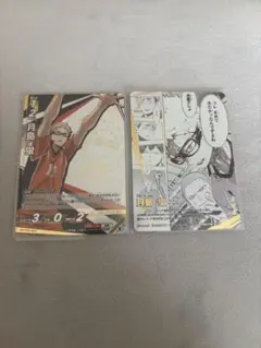 ハイキュー!! バボカ 頂P 月島蛍 HV-P02-003