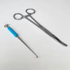 Item thumbnail for item 8fbafe0e-3395-482f-be8f-4806af1b3836