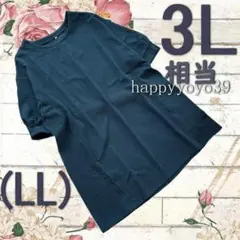 激安新品3L相当(LL)ターコイズ ジャガード切り替5分袖チュニック カットソーのサムネイル