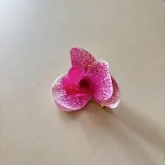 Item thumbnail for item bb05eeff-3749-4bb4-9ee7-3a18bb47e938