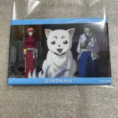 銀魂　スクエア缶バッジ　神楽　定春　新八