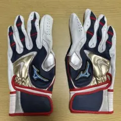 ミズノプロ　ダイバーシティブルー　バッティング手袋