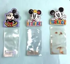 大特価‼️ディズニーランド チケットホルダー ミッキーマウス2種 ミニーマウス1種